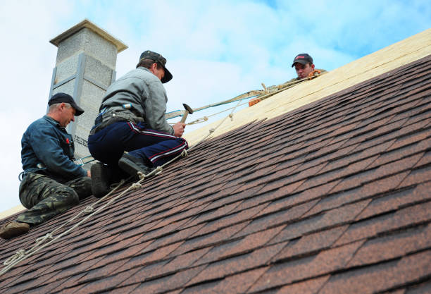 Best New Roof Installation  in Linden, TN